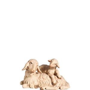 A-Sheep lying w/ lamb on back