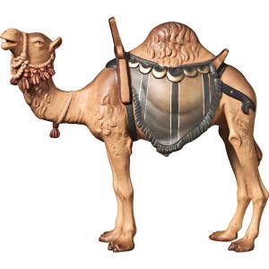 O-Camel