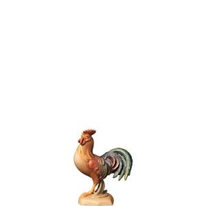 O-Rooster